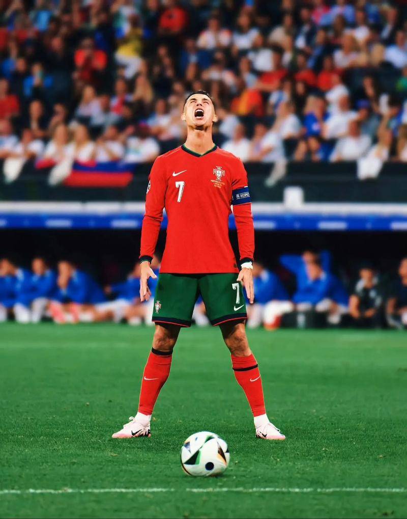 水平对抗的 水平对抗的